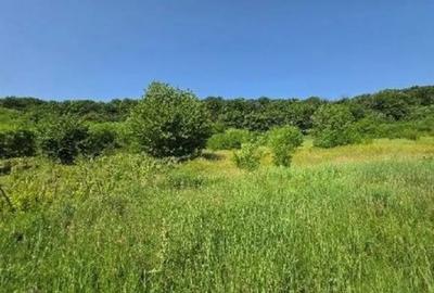 Teren de 2300 mp, în Duda - 2