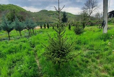 Casă cu 2 camere în Mânzălești - 3