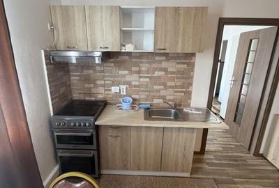 Apartament cu 2 camere în Bariera Vâlcii - 10