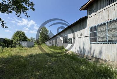 Hala de vanzare | 1.100mp I Boldesti-Scaieni - Randament ... - 13