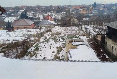 Casă cu Teren 924 Mp în Giarmata - 2