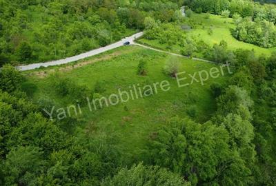 Teren de 8387 mp, în Corbi - 2