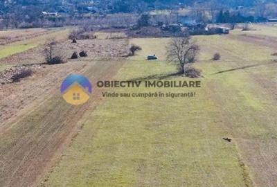 TEREN intravilan  4488 mp - PANGĂRAȚI - 9