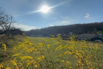 Vanzare  1400mp teren imprejmuit 2 loturi pt casa Adancata - sub padure - 18