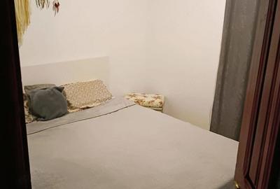 Apartament cu 2 camere semidecomandat în Central - 8