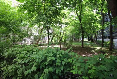 Apartament cu 2 camere decomandat, mobilat în Berceni - 19