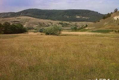 Teren de 5000 mp, în Racâș - 5