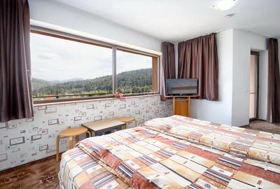 Pensiune Turistica Montana - 29