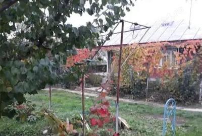 A 13. 20000 mp teren ?i 3 constructii casa in judetul Bacau - 3