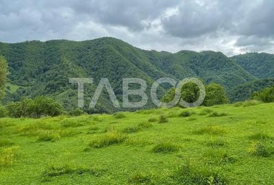 Teren intravilan de vanzare in Martinia de sus - 1
