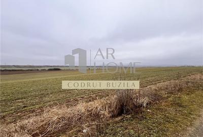 Teren Construcții intravilan de 4792 mp, în Bucov - 1