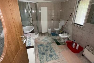 Casă + 2129 mp teren, zonă liniștită, Goruni, Iași - 76.000 euro - 12