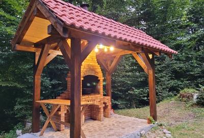 Casă individuală cu 6 camere cu Teren 2004 Mp în Porumbacu de Jos - 10