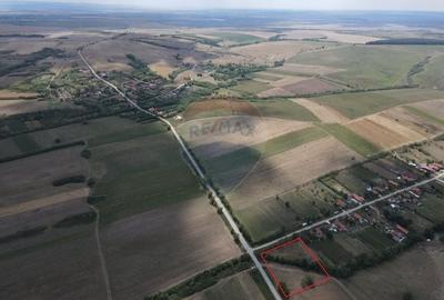 Teren Construcții intravilan de 4215 mp, în Teș - 3