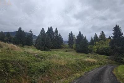 Teren de 4149 mp, în Colibița - 1