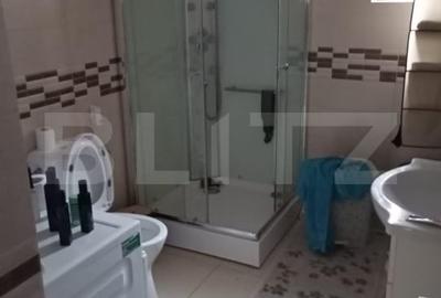 Casa insiruita, mobilata, 110 mp utili, teren 124 mp, Sf. Ilie Nou - 7