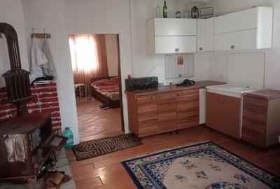 Casă cu 3 camere în Ohaba Română - 3