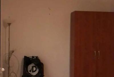 Inchiriez Ap 2 Camere Ultracentral Deva - 3