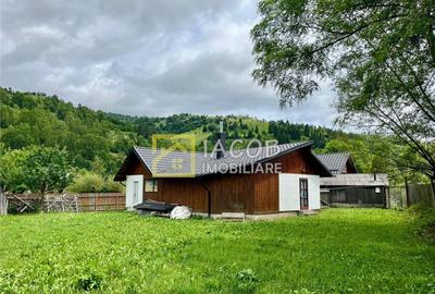 Casa la munte, comuna Bicazu Ardelean, jud. Neamt - 15