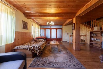 Casa rustica P+1 in zona de deal - Bogati, AG - 10