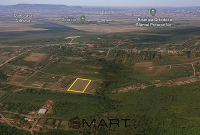 Teren 8000mp Daia noua - 4