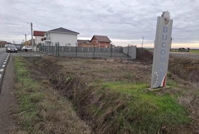 Teren de 500 mp, în Bucovăț (Remetea Mare)