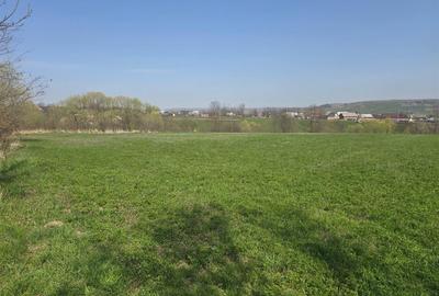 Teren agricol intravilan de 15000 mp, în Ilișești - 1