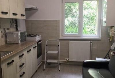 Apartament cu o camera, parter - IC Frimu - 10