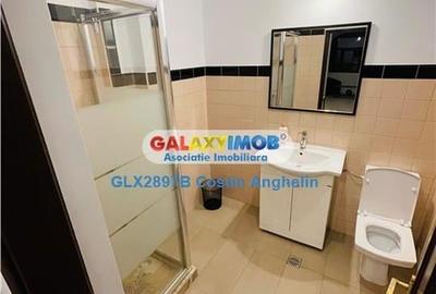 Sediu Birou Exclusivist - Vila Renovata - Zona Plevnei - 9