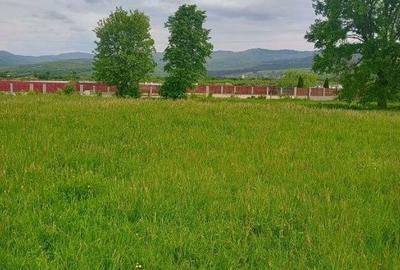 Spațiu comercial, în Cărpiniș - 3