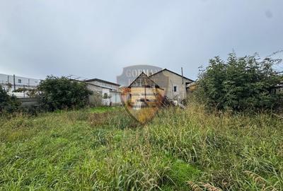 Casa 5 camere, PALAZU MARE,  204 mp cu teren 904 mp - 3