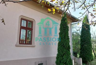 Casă cu 3 camere cu Teren 4177 Mp în Burila Mare - 3