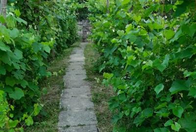 Casa de vanzare sat Carbune?ti, jud. Prahova - 3