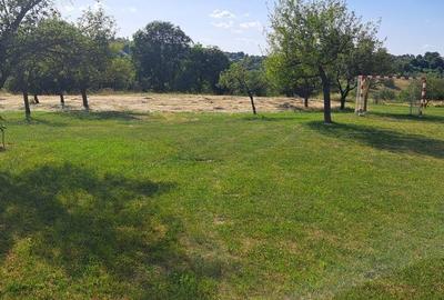 Spațiu comercial, în Feleacu