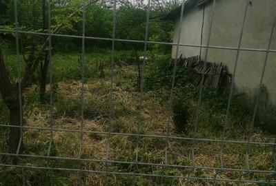 Casă în Țăndărei - 4