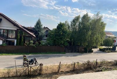 Constructie structura beton armat 810 MPC Curtea de Arges - 10