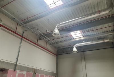 Drumul Intre Tarlale - A2- Palady depozit farma, produse alimentare, - 5