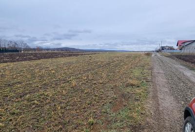 Spațiu comercial, în Central - 4