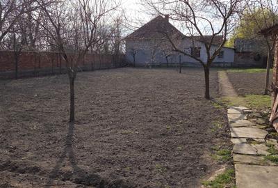 Casă cu 3 camere în Gurba - 2