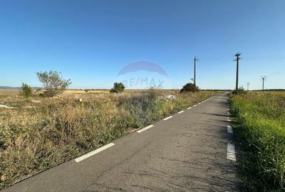 Teren extravilan de vanzare - 19.963 mp, E68 Mandruloc-Vladimirescu - 1