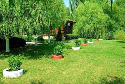 Casă cu Teren 2693 Mp în Gornea - 5