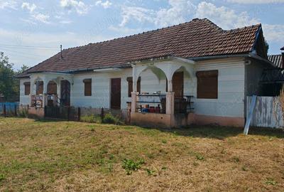 Casă cu 4 camere cu Teren 1239 Mp în Certeju de Sus - 5