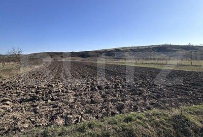 Spațiu comercial, în Central