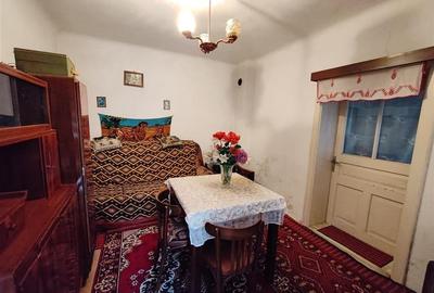 Casa , singur in curte la intrarea in ZIZIN - 7