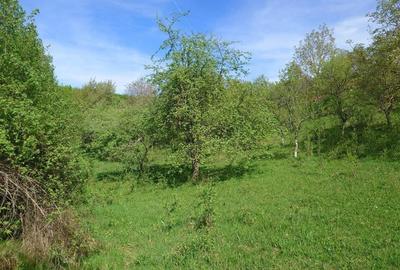 Teren intravilan si cladire in Apuseni, Blajeni, Hd Teren intravilan si cladire in Apuseni, Blajeni, Hd - 16