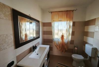 Casă cu 5 camere cu Teren 1792 Mp în Mitocu Dragomirnei - 9