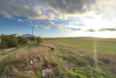 Teren si proiect, 15813mp, fata Skoda - 5