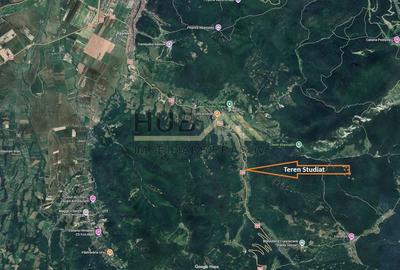 Teren agricol extravilan de 10035 mp, în Cheile Râșnoavei - 3