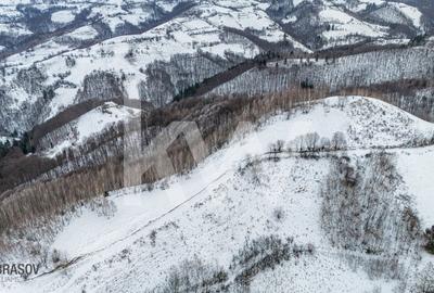 Teren Extravilan Poiana Marului  include varful Cetatuia 942m, zona Vulcanita - 2