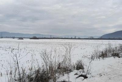 Teren de 3200000 mp, în Conop - 2